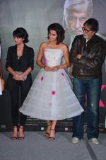 Andrea Tariang, Amitabh Bachchan, Taapsee Pannu at Pink trailer launch in Mumbai on 9th Aug 2016